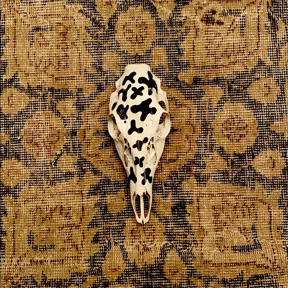Deer scull with cow print